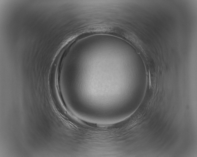 X0000057580483200509191454