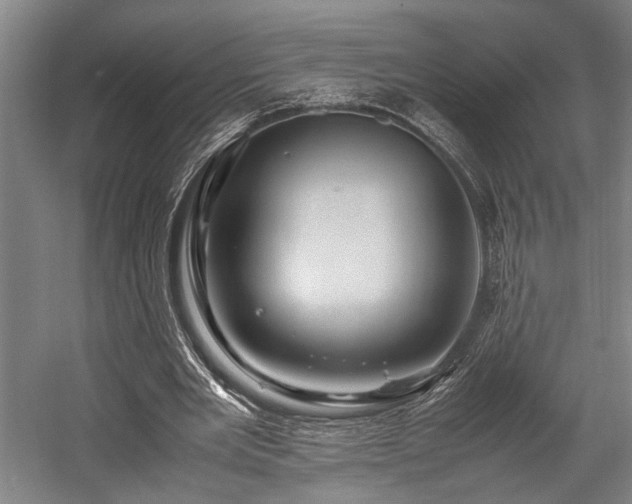 X0000057580485200509191454