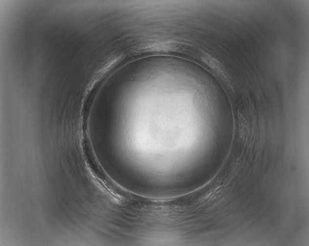 X0000057580486200509191454