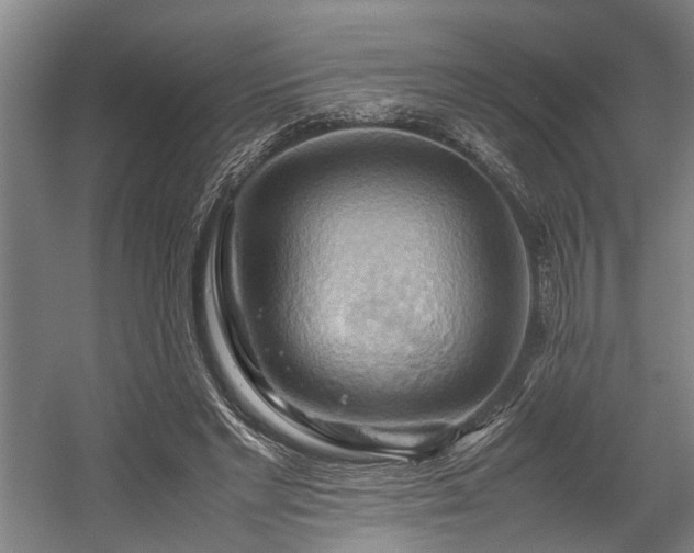 X0000057580493200509191454