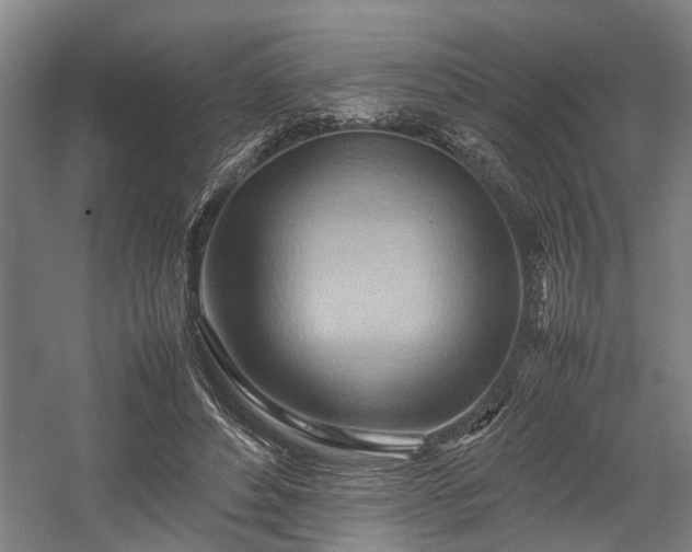 X0000057580496200509191454