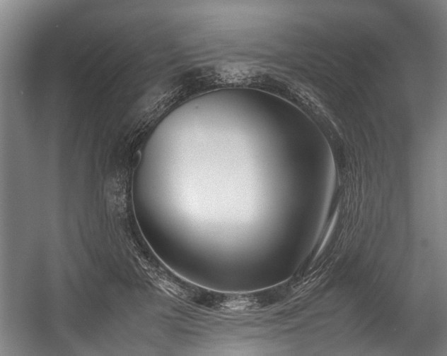 X0000057580505200509191454