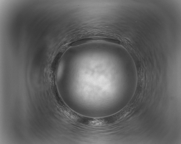 X0000057580511200509191454