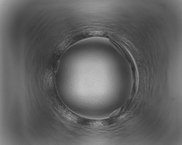 X0000057580513200509191454