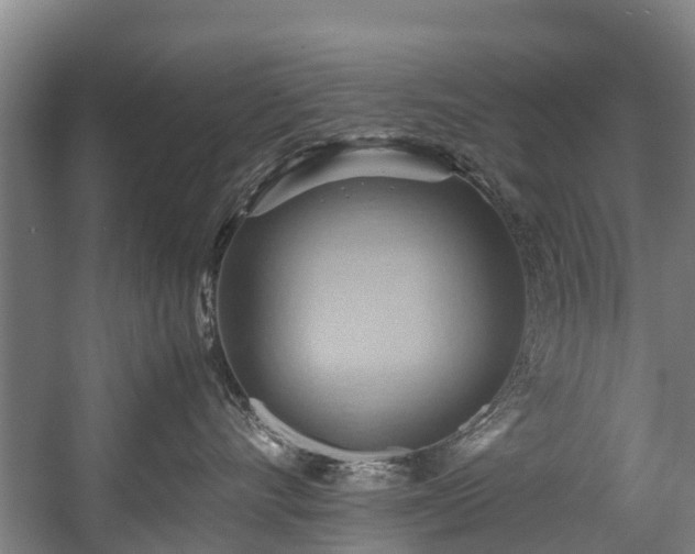 X0000057580528200509191454