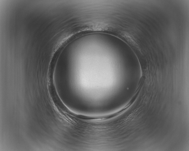 X0000057580536200509191453