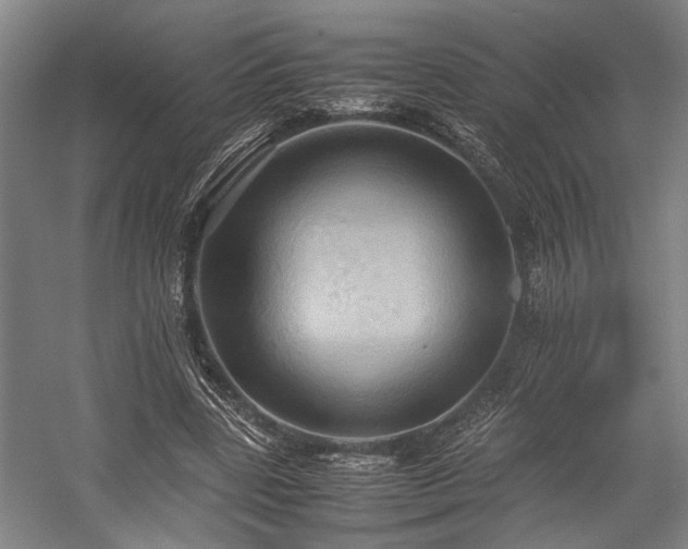 X0000057580539200509191453