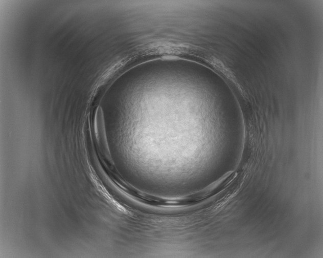 X0000057580581200509191453