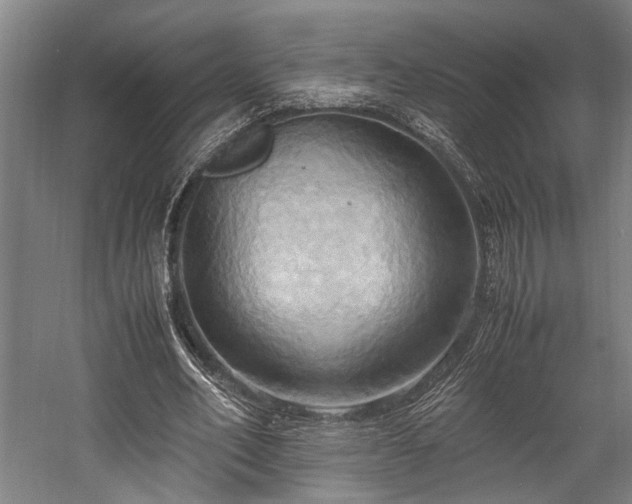 X0000057580582200509191453