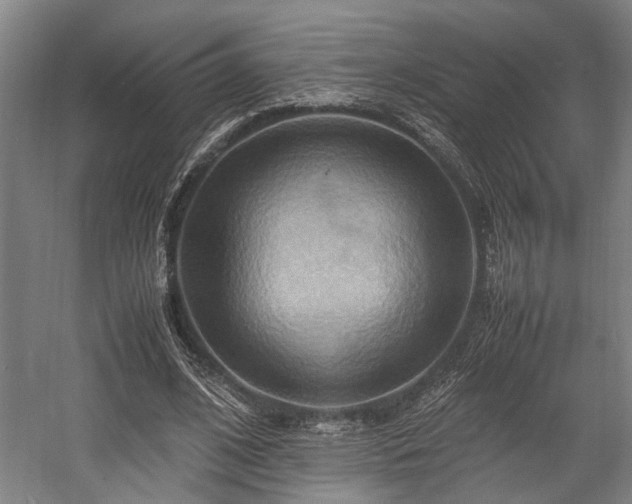 X0000057580584200509191453