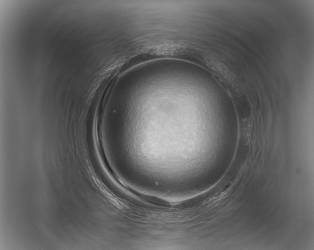 X0000057580589200509191453