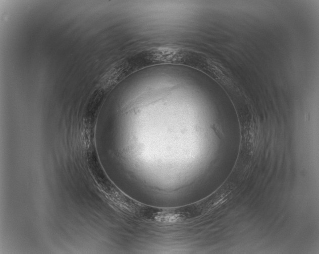 X0000057580602200509191452