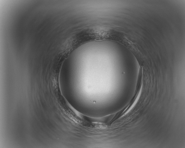 X0000057580613200509191452