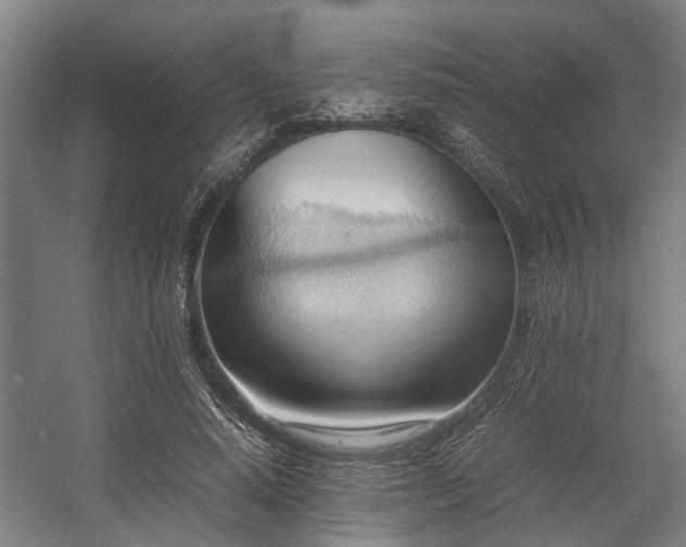 X0000057580640200509191452