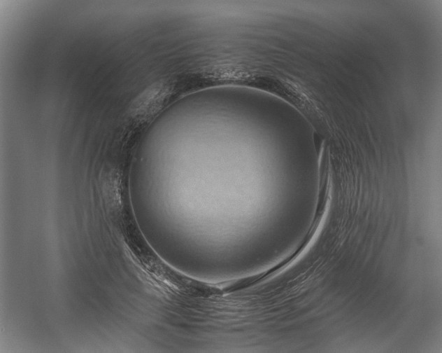 X0000057580643200509191452