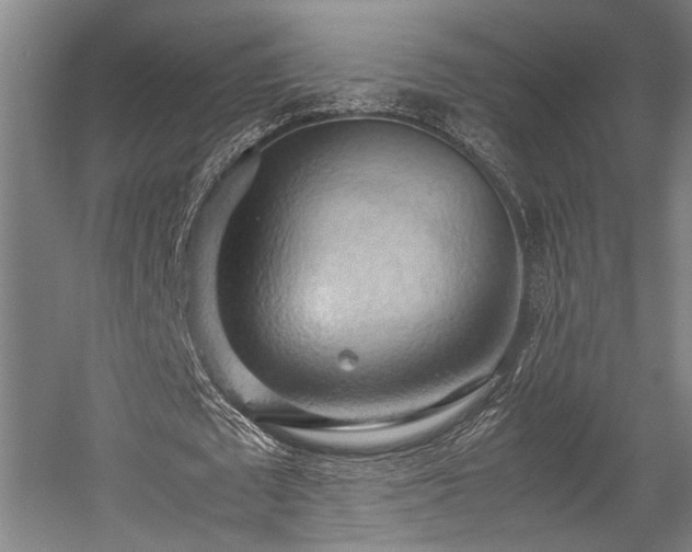 X0000057580673200509191451