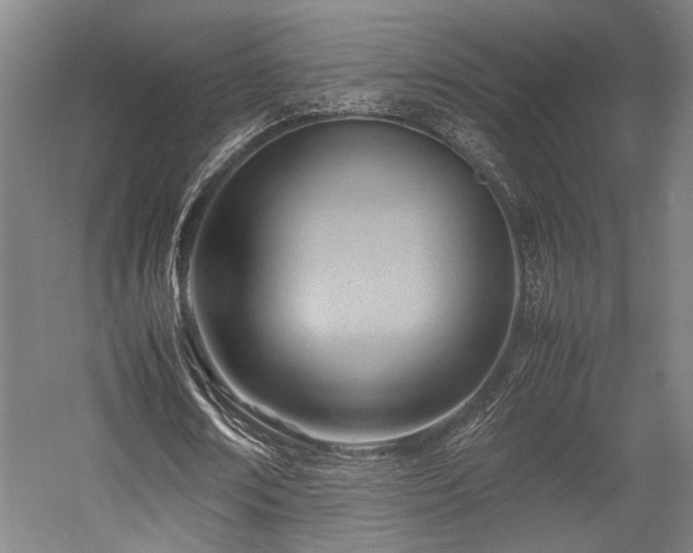 X0000057580674200509191451