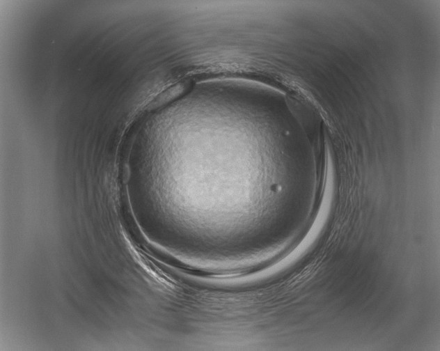 X0000057580677200509191451