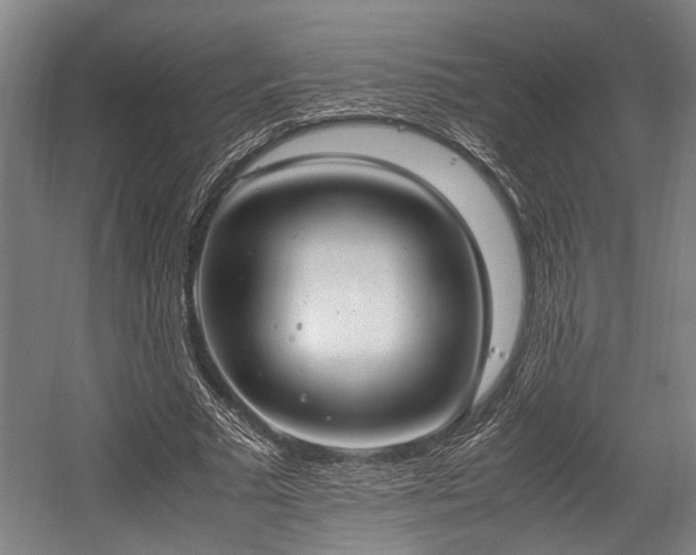 X0000057580681200509191451