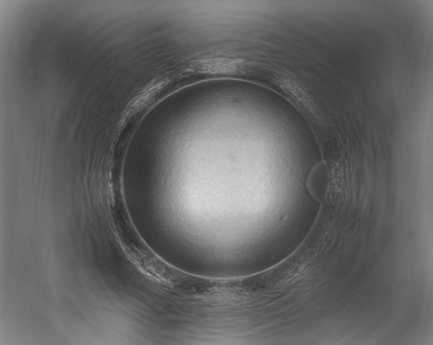 X0000057580682200509191451