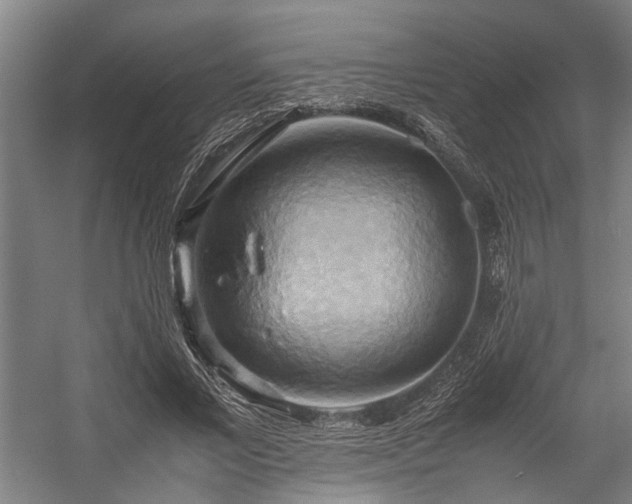 X0000057580685200509191451