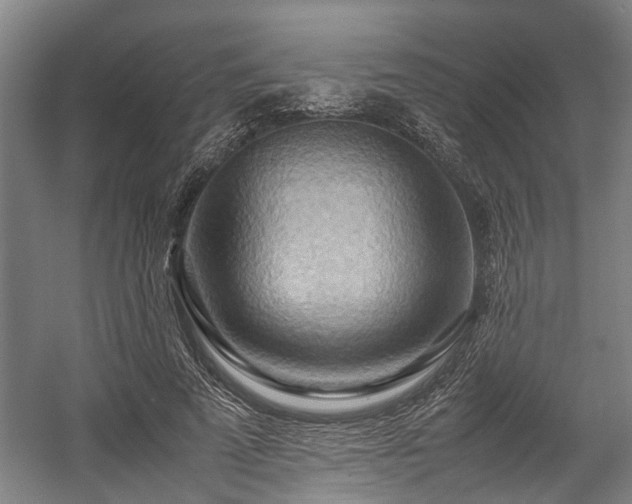 X0000057580689200509191451