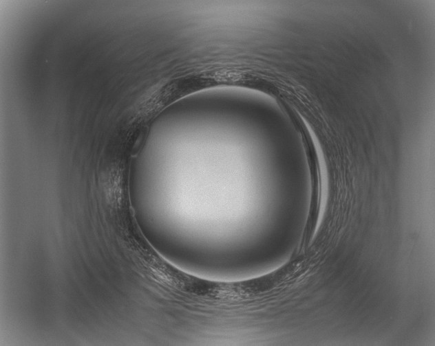 X0000057580697200509191451