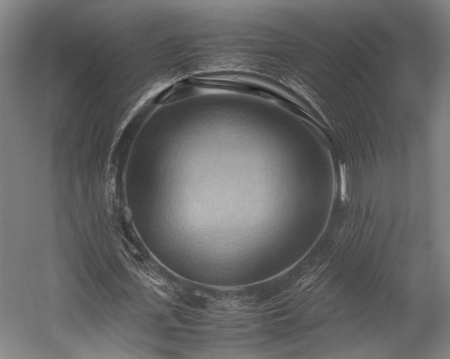 X0000057580723200509191450