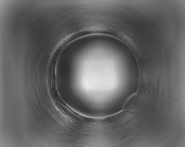 X0000057580732200509191450