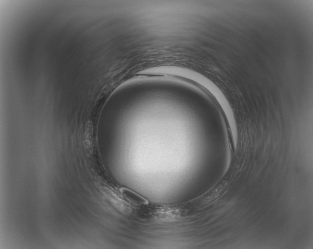 X0000057580760200509191450