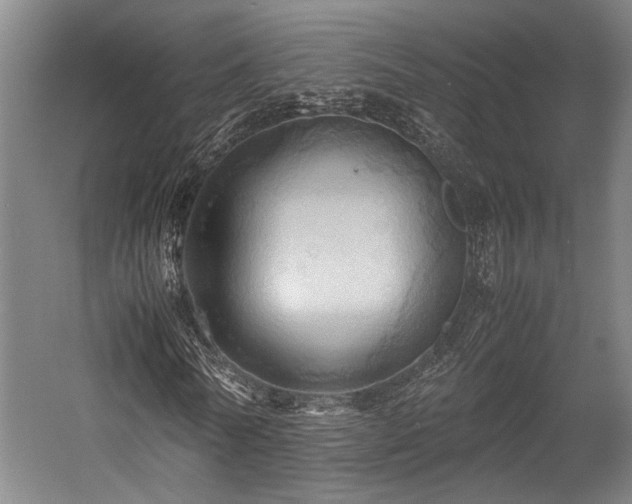 X0000057580770200509191450
