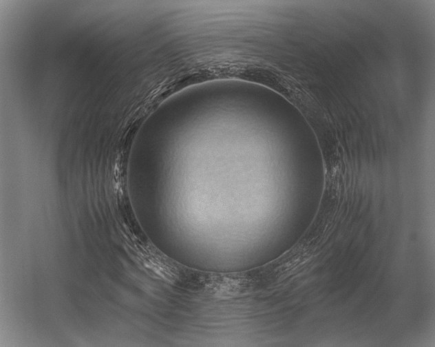 X0000057580772200509191450