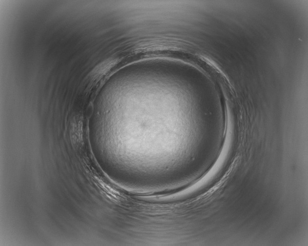 X0000057580777200509191449