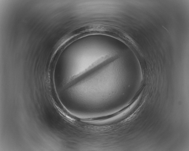 X0000057580779200509191449