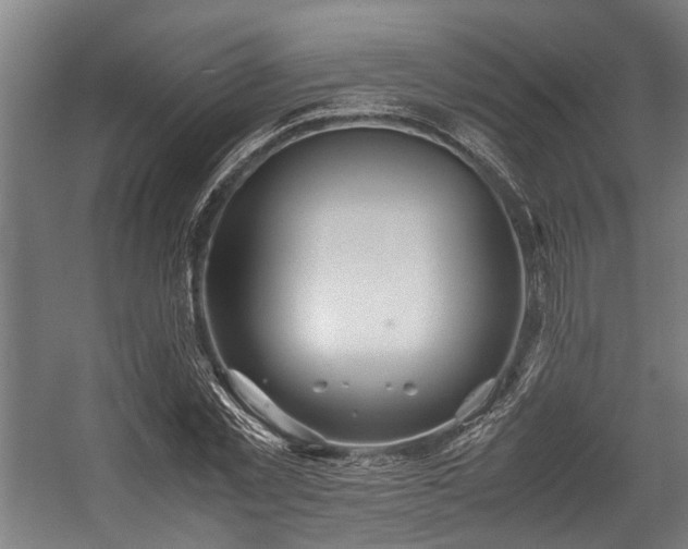 X0000057580781200509191449