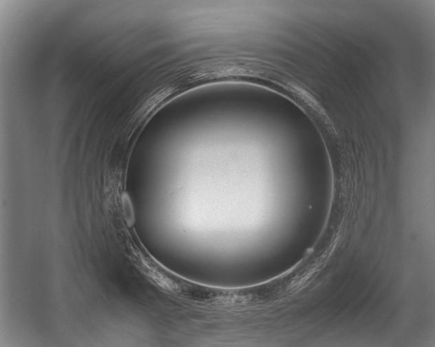 X0000057580793200509191449