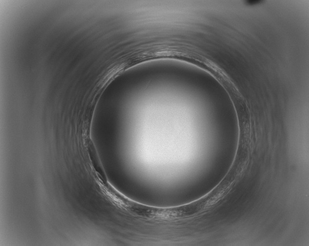 X0000057580801200509191449