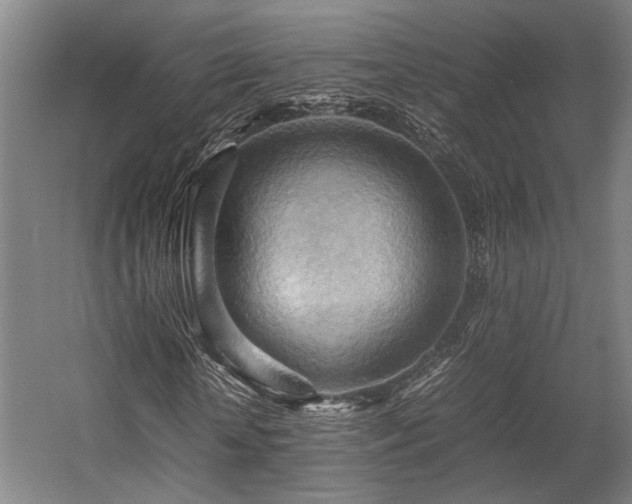 X0000057580818200509191448