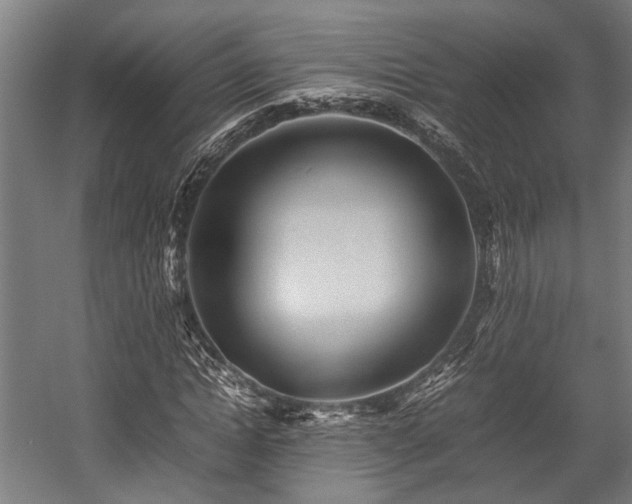 X0000057580822200509191448