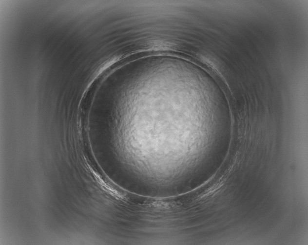 X0000057580827200509191448