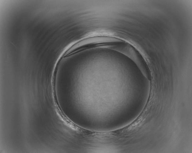 X0000057580864200509191449