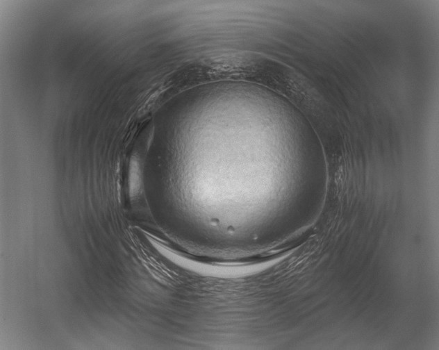 X0000057580868200509191448