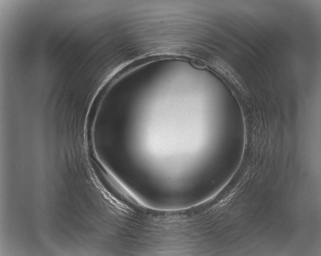 X0000057580884200509191448