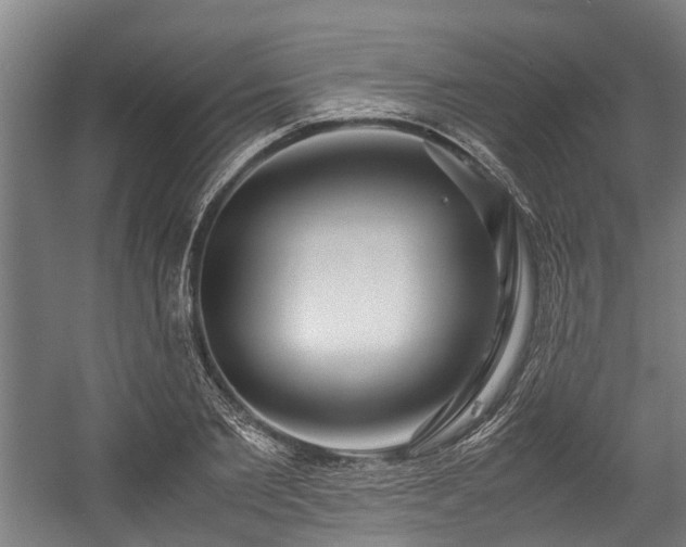 X0000057580885200509191448