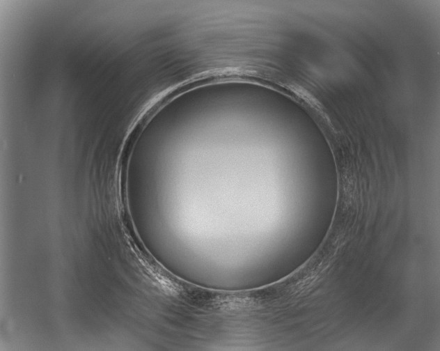 X0000057580886200509191448