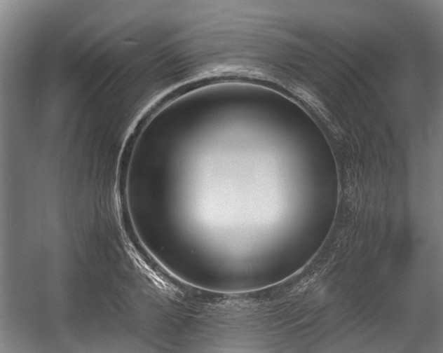 X0000057580888200509191448
