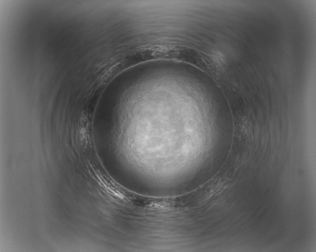X0000057580914200509191446