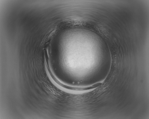 X0000057580916200509191446