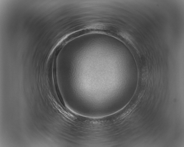 X0000057580923200509191447