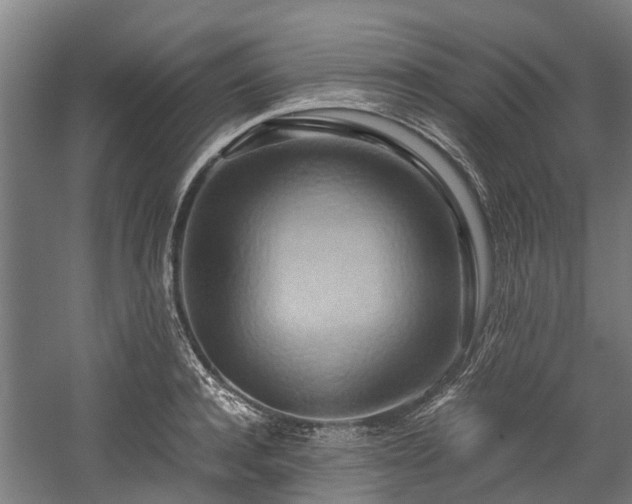 X0000057580944200509191447